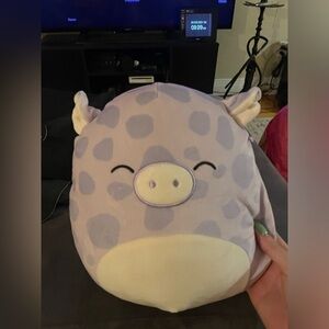 Squishmallow rare Pammy the purple pig